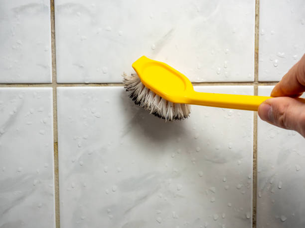 Best Insurance-Related Mold Remediation in Madera, CA