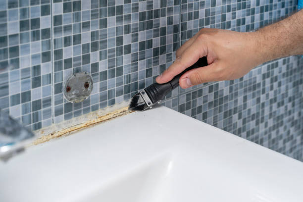 Best Post-Flood Mold Remediation in Madera, CA
