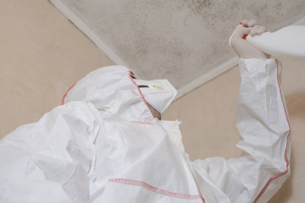Best Mold Remediation for Schools in Madera, CA
