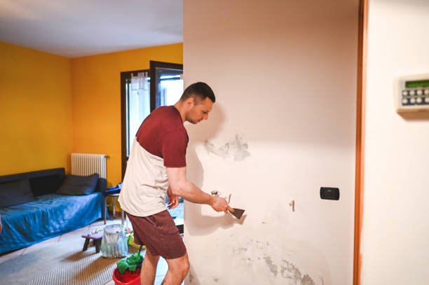Best Attic Mold Remediation in Madera, CA